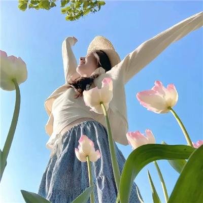 零度战姬第二季