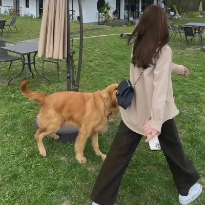 嘉人本色